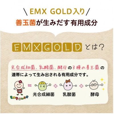 美里のおいしいごはん(コシヒカリ100%使用)　200g入×30個　防腐剤不使用　パックご飯