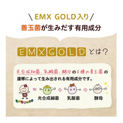 美里のおいしいごはん(コシヒカリ100%使用)　200g入×18個　防腐剤不使用　パックご飯