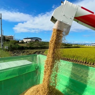 【栽培期間中:農薬・化学肥料不使用】岐阜県羽島市産 初霜(ハツシモ)精米5kg