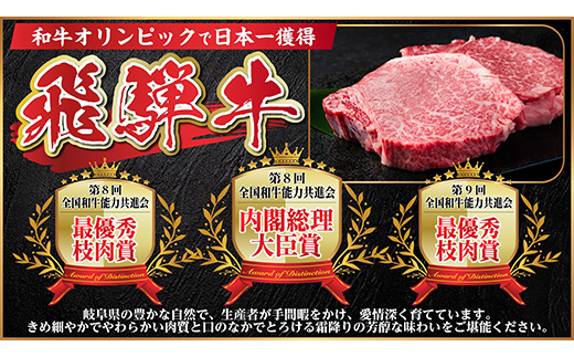 飛騨牛　ステーキ2種食べ比べセット　計約1.2kg【冷蔵便】A4～A5等級　シャトーブリアン他【配送不可地域：離島】