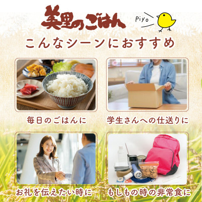 美里のおいしいごはん(コシヒカリ100%使用)　200g入×12個　防腐剤不使用　パックご飯
