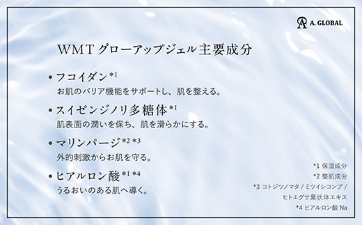 WMT GLOW UP GEL　(美容 スキンケア)