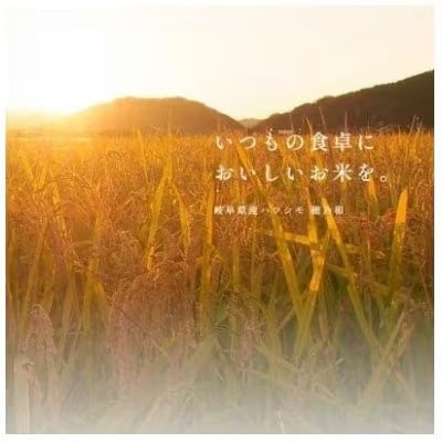 【発送月固定定期便】生産者応援!岐阜県産ハツシモ(精米)5kg【1・2・3月発送】全3回【配送不可地域：離島】