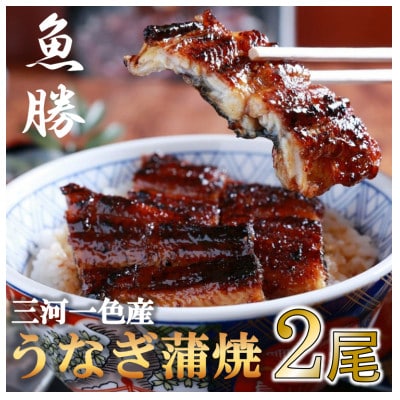 三河一色産うなぎ蒲焼　2尾〈計約320g〉【配送不可地域：離島】