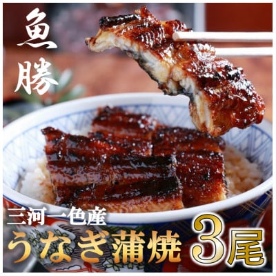 三河一色産うなぎ蒲焼　3尾〈計約480g〉【配送不可地域：離島】