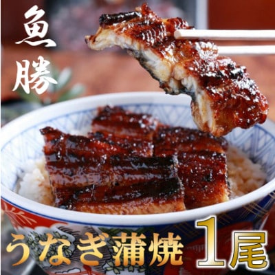 中国産うなぎ蒲焼　1尾〈約160g〉【配送不可地域：離島】