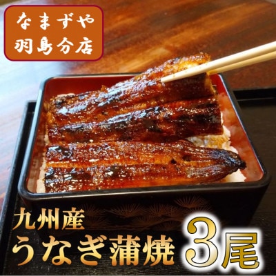 九州産うなぎ蒲焼　3尾〈計約360g〉【配送不可地域：離島】