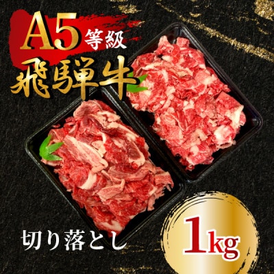 飛騨牛5等級 切り落とし1kg　FTA196【配送不可地域：離島】