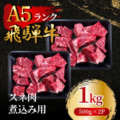 飛騨牛5等級 スネ肉煮込み用1kg(500g×2P)　FTA282【配送不可地域：離島】