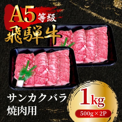 飛騨牛5等級 サンカクバラ焼肉用1kg(500g×2P)　FTA285【配送不可地域：離島】