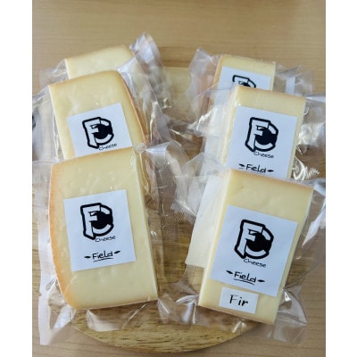 セミハードチーズ　Field　2種セット【配送不可地域：離島】