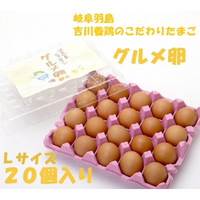吉川養鶏のグルメ卵　Lサイズ20個(割れ保証4個含む)羽島観光協会推奨【はしまブランド】認定品　冷蔵【配送不可地域：離島】