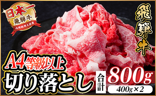 飛騨牛 厳選切り落とし 800g(400g×2)　A4～A5等級　黒毛和牛　小分け【配送不可地域：離島】