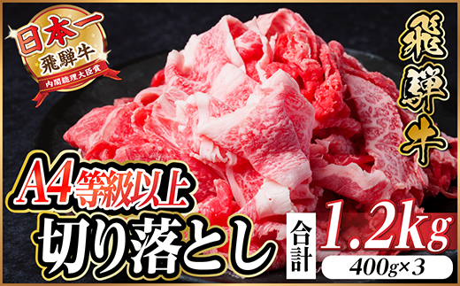 飛騨牛 厳選切り落とし 1.2kg(400g×3)　A4～A5等級　黒毛和牛 小分け【配送不可地域：離島】