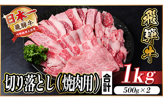 飛騨牛　厳選切り落とし(焼肉・BBQ用)　1kg(500g×2)　訳あり　黒毛和牛　小分け【配送不可地域：離島】