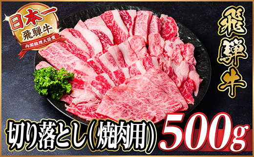 飛騨牛 厳選切り落とし(焼肉・BBQ用) 500g　訳あり 黒毛和牛　4～A5等級【配送不可地域：離島】