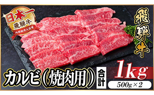 飛騨牛 厳選カルビ(焼肉・BBQ用) 1kg(500g×2) 小分け 黒毛和牛 A4～A5等級【配送不可地域：離島】