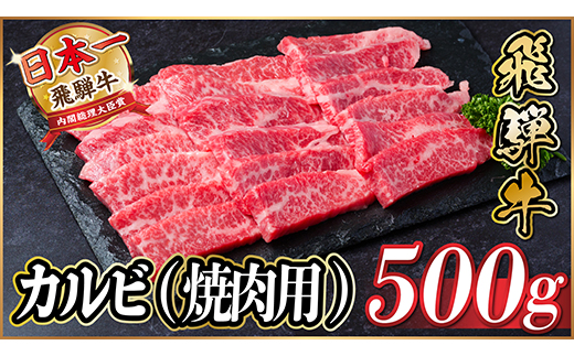 飛騨牛　厳選カルビ(焼肉・BBQ用) 500g　A4～A5等級 黒毛和牛　小分け【配送不可地域：離島】