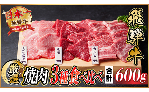 飛騨牛　焼肉厳選3種食べ比べセット(カルビ・トモサンカク・モモ)　約600g【配送不可地域：離島】