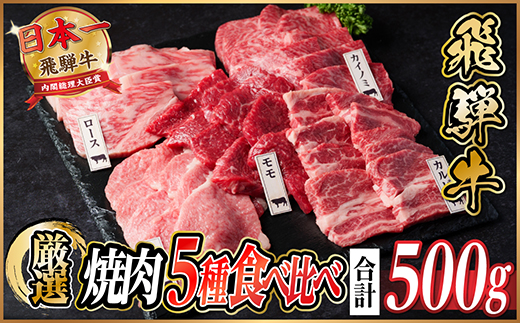 飛騨牛 焼肉厳選5種食べ比べセット(カルビ・トモサンカク・モモ・ロース・カイノミ)約500gタレ付き【配送不可地域：離島】