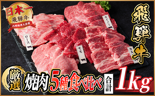 飛騨牛　焼肉厳選5種食べ比べセット(カルビ・トモサンカク・モモ・ロース・カイノミ)約1kg　タレ付き【配送不可地域：離島】