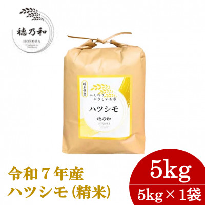 令和7年産　岐阜県産ハツシモ(精米)5kg【配送不可地域：離島】
