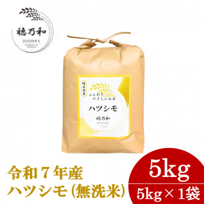 【先行予約】令和7年産　岐阜県産ハツシモ(無洗米)5kg【配送不可地域：離島】