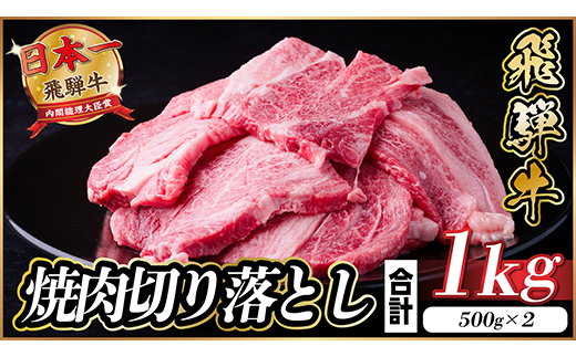 飛騨牛 焼肉切り落とし 約1kg(約500g×2)タレ付き 訳あり【冷蔵便】A4～A5等級 黒毛和牛【配送不可地域：離島】