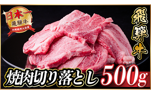 飛騨牛 焼肉切り落とし 約500g タレ付き 訳あり【冷蔵便】A4～A5等級 黒毛和牛【配送不可地域：離島】