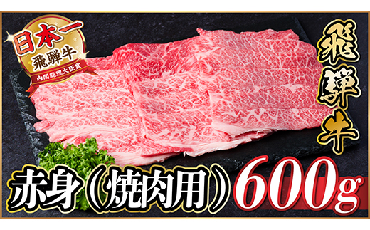 飛騨牛　厳選赤身(焼肉・BBQ用) 600g(300g×2)　黒毛和牛　小分け　A4～A5等級【配送不可地域：離島】