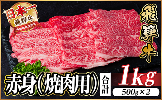 飛騨牛 厳選赤身(焼肉・BBQ用) 1kg(500g×2) 　黒毛和牛 小分け A4～A5等級【配送不可地域：離島】