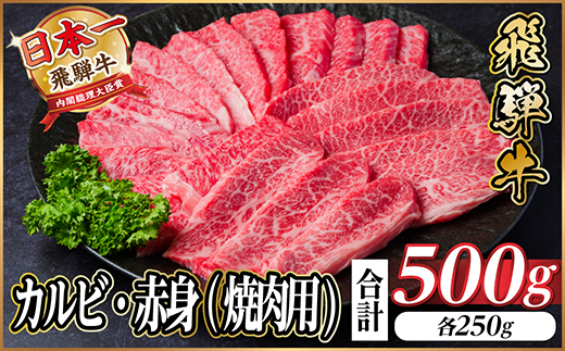 飛騨牛 カルビ・赤身(焼肉・BBQセット)500g 小分け 黒毛和牛 A4～A5等級【配送不可地域：離島】