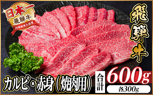 飛騨牛 厳選カルビ・赤身(焼肉・BBQ用)600g　小分け　黒毛和牛　A4～A5等級【配送不可地域：離島】