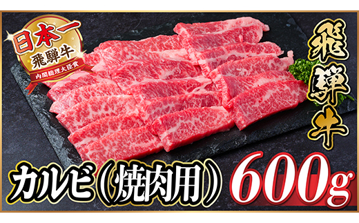 飛騨牛 厳選カルビ(焼肉・BBQ用) 600g(300g×2) 黒毛和牛 小分け A4～A5等級【配送不可地域：離島】