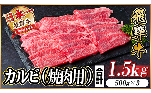 飛騨牛 厳選カルビ(焼肉・BBQ用) 1.5kg(500g×3)　黒毛和牛　小分け　A4～A5等級【配送不可地域：離島】