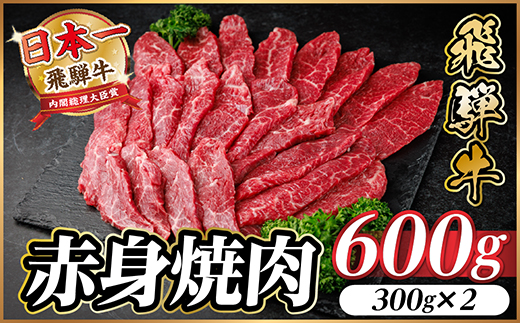 飛騨牛 赤身(焼肉・BBQ用) 約600g【冷蔵便】A4～A5等級 黒毛和牛【配送不可地域：離島】
