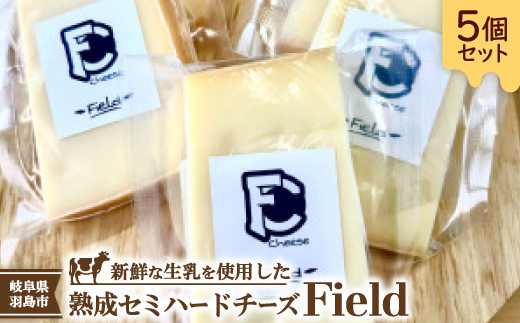 セミハードチーズ　Field(フィールド)個包装5個セット【配送不可地域：離島】