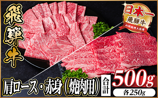 飛騨牛　厳選肩ロース・赤身(焼肉・BBQ用)500g　小分け　黒毛和牛　A4～A5等級【配送不可地域：離島】