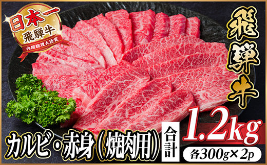 飛騨牛　厳選カルビ・赤身(焼肉・BBQ用)　計1.2kg(各600g)　黒毛和牛　小分け【配送不可地域：離島】