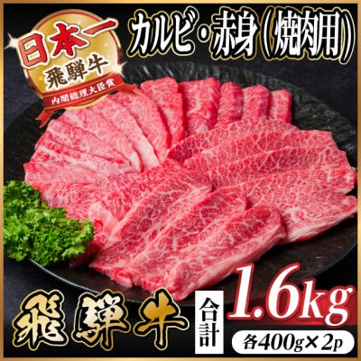 飛騨牛　厳選カルビ・赤身(焼肉・BBQ用)　計1.6kg(各800g)　黒毛和牛　小分け【配送不可地域：離島】