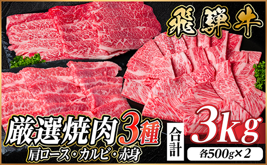 飛騨牛　厳選焼肉3種(肩ロース・カルビ・赤身)　計3kg(各1kg) 黒毛和牛　小分け【配送不可地域：離島】