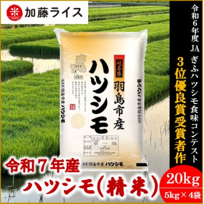 令和7年産 岐阜県羽島市産ハツシモ 精米20kg(5kg×4袋)