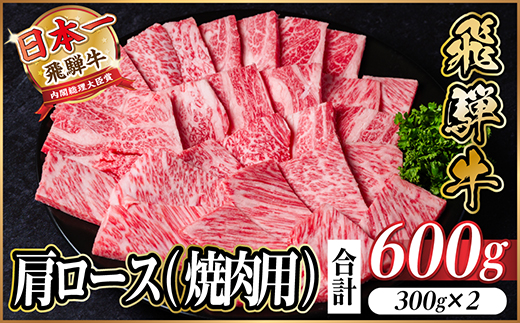 飛騨牛 厳選肩ロース(焼肉・BBQ用)　600g(300g×2)　黒毛和牛　小分け【配送不可地域：離島】