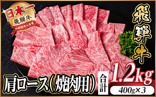 飛騨牛　厳選肩ロース(焼肉・BBQ用) 計1.2kg(400g×3)　黒毛和牛　小分け【配送不可地域：離島】