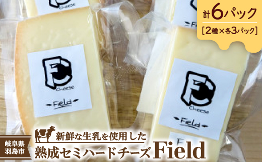 セミハードチーズ　Field　2種セット【配送不可地域：離島】