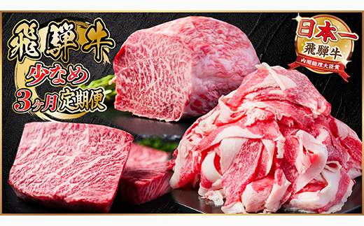 【毎月定期便】飛騨牛 少なめ定期便 計1kg【冷蔵便】全3回 赤身ステーキ 切り落とし 赤身ブロック【配送不可地域：離島】