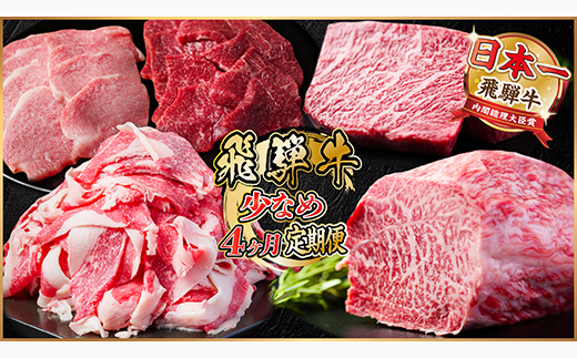 【毎月定期便】飛騨牛 少なめ定期便 計1.3kg 全4回 ステーキ 焼肉 切り落とし 赤身ブロック肉【配送不可地域：離島】
