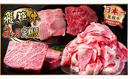 【毎月定期便】飛騨牛 定期便 計1.4kg【冷蔵便】A4～A5 バーベキュー 牛丼 希少部位 全3回【配送不可地域：離島】
