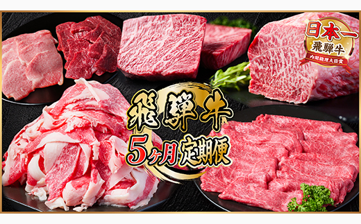 【毎月定期便】飛騨牛 定期便 計2.2kg【冷蔵便】A4～A5 バーベキュー ローストビーフ 全5回【配送不可地域：離島】