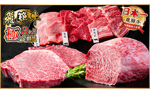 【毎月定期便】飛騨牛 極定期便 計1.7kg【冷蔵便】A4～A5等級 シャトーブリアンほか 全3回【配送不可地域：離島】